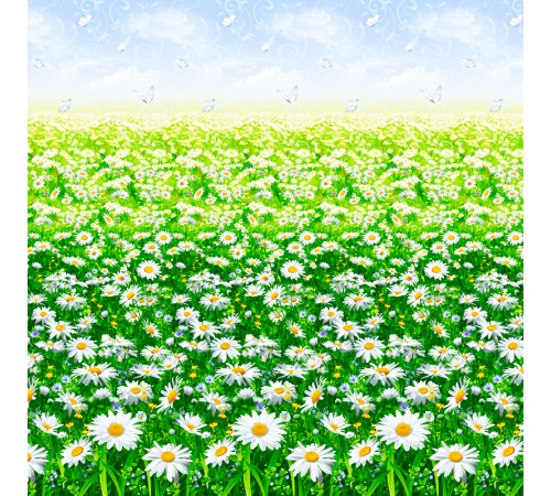 34 Ткань Бязь Премиум (Ромашковое поле)